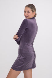 Purple Velour  Dress