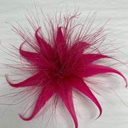 Spike Feather Flower