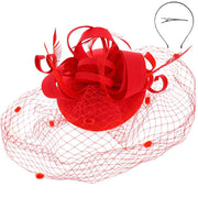 Ribbon & Mesh Fascinator