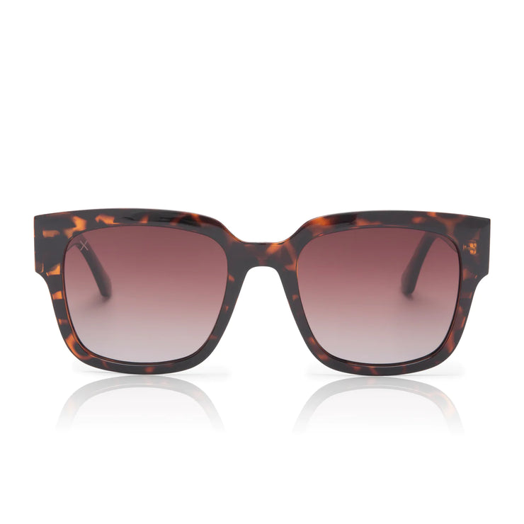 Brea Tortoise Brown Sunglasses