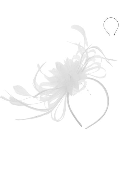 White Cluster Loop Daisy Flower